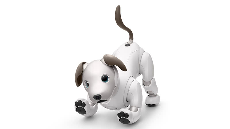 aibo-アイボの評価-成長する犬型ロボ、ペットロボの頂点！｜ペット